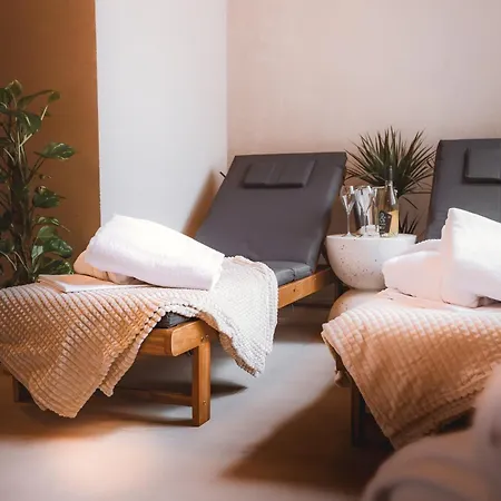 Cerveny Dvur - A Wellness 公寓式酒店 3*