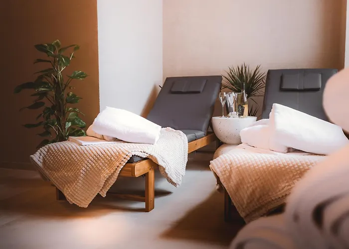 Cerveny Dvur - A Wellness Ξενοδοχείο με διαμερίσματα 3*