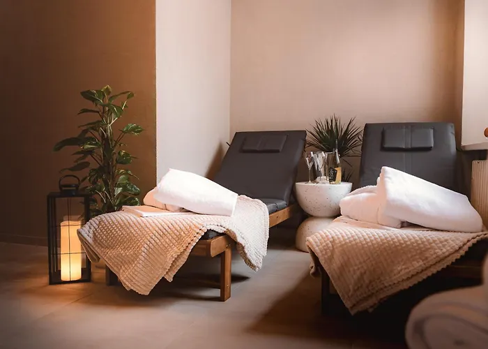 Cerveny Dvur - A Wellness Ξενοδοχείο με διαμερίσματα Rapotín