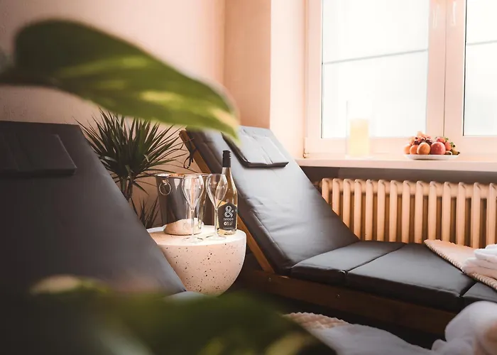 Ξενοδοχείο με διαμερίσματα Cerveny Dvur - A Wellness